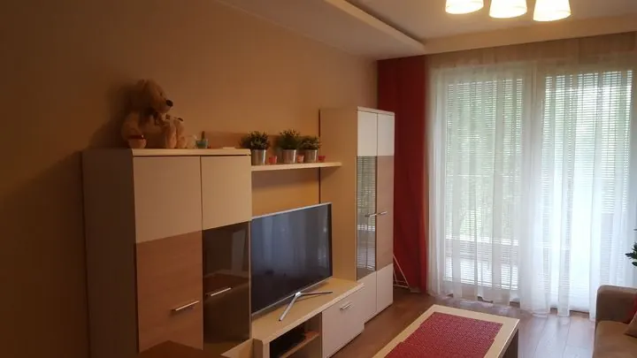 Salon z meblościanką i telewizorem – Mieszkanie w Krakowie