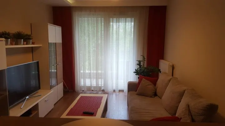 Salon z kanapą, stolikiem i telewizorem – Mieszkanie w Krakowie