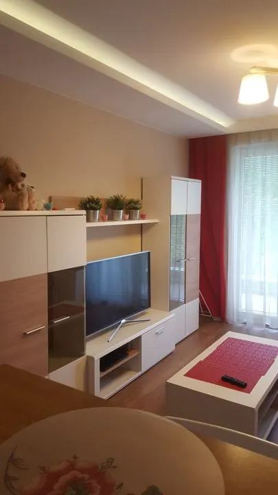 Salon z telewizorem i zabudową meblową – Mieszkanie w Krakowie